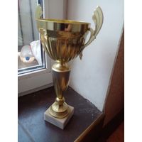 Спортивный кубок 33 см, основание гранит