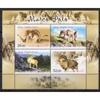 Киргизия 2013.Фауна  Горный баран  блок (418)