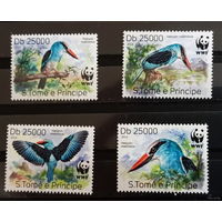С ТОМИ ПРИНЦИПИ 2014  Дикая Фауна  ОХРАНА ПРИРОДЫ WWF MNH