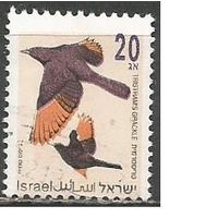 Израиль. Птицы. Длиннохвостый скворец. 1992г. Mi#1249.