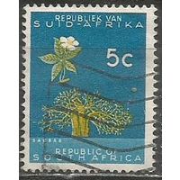 Южная Африка(Республика). Цветы баобаба. 1961г. Mi#293.