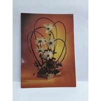 Открытка, 1986г. Поздравляем! Фото Ю. Левянта и А. Медведевой. 14