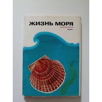 Жизнь моря. Дальний Восток Выпуск 1. Набор  16 откр. 1986 год