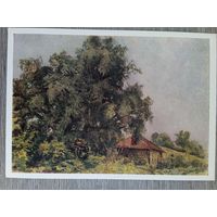 1953. Ванециан. Ясная Поляна. Старая баня