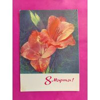 8 марта! Чистая. 1970 года. Фото Дергилева. 464.