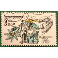 Чехословакия 1981. 25-ое Международное молодёжное восхождение на гору Рысы в Татрах