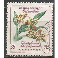 Колумбия. Цветы. Одонтоглоссум. 1960г. Mi#914.