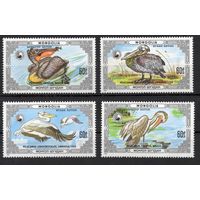Монголия 1986. Птицы. Пеликаны 4 марки 1811-14