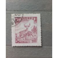 Южная Корея. Фауна. Стандарт.