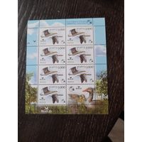 Беларусь 2009 серый гусь  МЛ