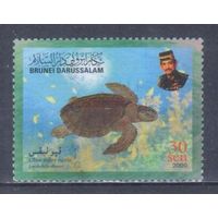 [2400] Бруней 2000. Фауна.Черепаха. Гашеная марка.