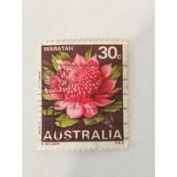 Марка из серии "Цветы" - Telopea speciosissima (Телопея прекрасная)