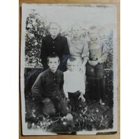 Фото в коллекцию