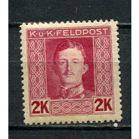 Австро-Венгрия - Полевая почта (Feldpost) - 1917/1918 - Кайзер Карл I 2Kr - [Mi.69A] - 1 марка. MH.  (Лот 5JB)-TG3P56