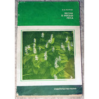 В.В.Петров Весна в жизни лета.