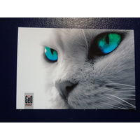 Календарик 2007 г.  GeO print.