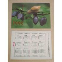 Карманный календарик. Улитка. 1993 год