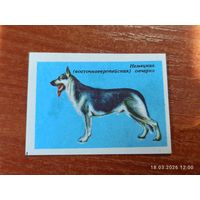 Спичечная этикетка Немецкая овчарка