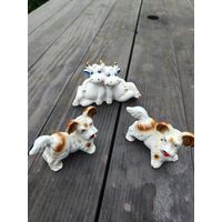 Два щенка и веселые буренки