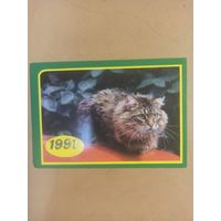 Календарь 1991 кошки/1