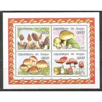 Конго(Республика). Грибы. 1999г. Mi#1633-36. Klb.