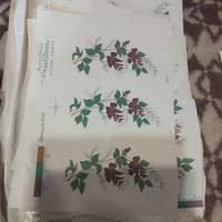 Переводные наклейки ссср для декупажа. Деколь. На плитку, мебель, стекло, на посуду. С зелеными цветами все одинаковые на листе 4 шт, листов 36шт. цена за лист