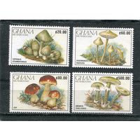 Гана. Грибы