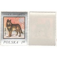 Польша 1977.05.12 (Mi)PL2504 марка из сер.Вымирающие животные - 1,00zl Волк (Canis lupus) (г) (a1-12 ТОРГ/ВАША ЦЕНА