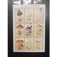 Сент Винсент и Гренадины. Флора. Грибы. Блок (1020)