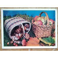 Тужиков В. Дары природы. 1980 г. ПК. Чистая.