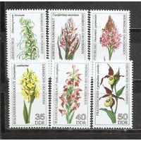 ФФ1 ГДР 1976 Цветы