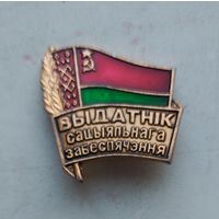 Отличник социального обеспечения