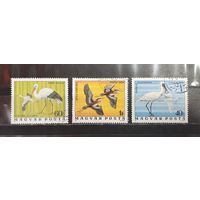 Венгрия. 1976 год. Фауна. Птицы (1241)