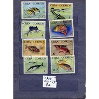 КУБА, 1965, РЫБЫ,  серия 8м, гашен