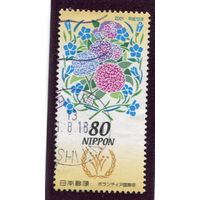 Япония. Международный год волонтера