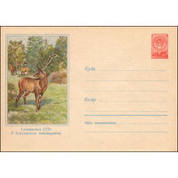 Художественный маркированный конверт СССР N 566 (18.11.1957) Грузинская ССР. В Колхидском заповеднике.