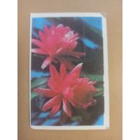 Календарь 1986 Цветы