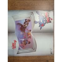 Виниловая пластинка