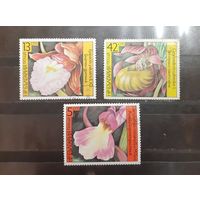 Болгария. 1986 год. Флора. Цветы. Орхидеи (290)