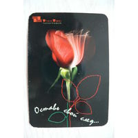 Календарик, 2004, Типография "ТрансТэкс" Минск (роза).