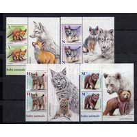 Беларусь 2020 .Фауна.Волк,лиса,медведь,рысь 8 марок+купоны (1061)