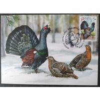 Беларусь 2020 КМ птица года, глухарь .