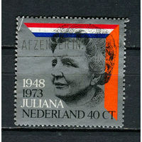 Нидерланды - 1973 - 25-я годовщина восшествия на престол королевы Юлианы - [Mi. 1017] - полная серия - 1 марка. Гашеная.  (Лот 14JB)-TG3P56