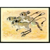 Тушканчики. Худ. Л. Гамбургер. 1977