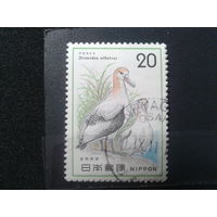 Япония, 1975. Альбатрос