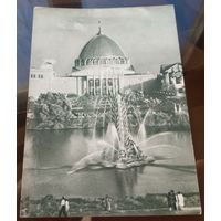 1955 год Москва ВСХВ Фонтан Колос