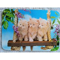 Календарики. Испания. Кошки