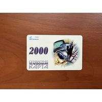 Телефонная карточка "Белтелеком 2000"