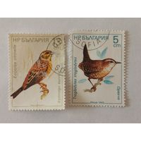Две марки из серии "Певчие птицы" - Крапивник (Troglodytes troglodytes) и Обыкновенная овсянка (Emberiza citrinella)