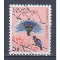 [1380] Папуа Новая Гвинея 1964. Фауна.Райские птицы. Гашеная марка.